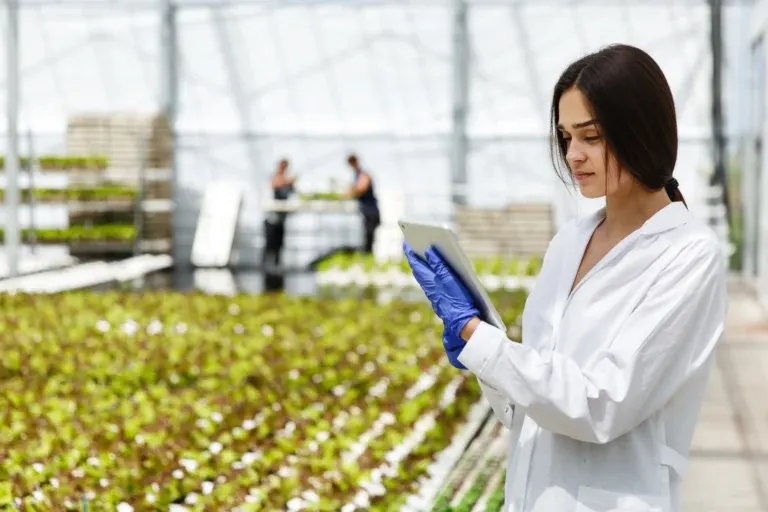 Case Study: Why are digital cold storage websites the future of agriculture?