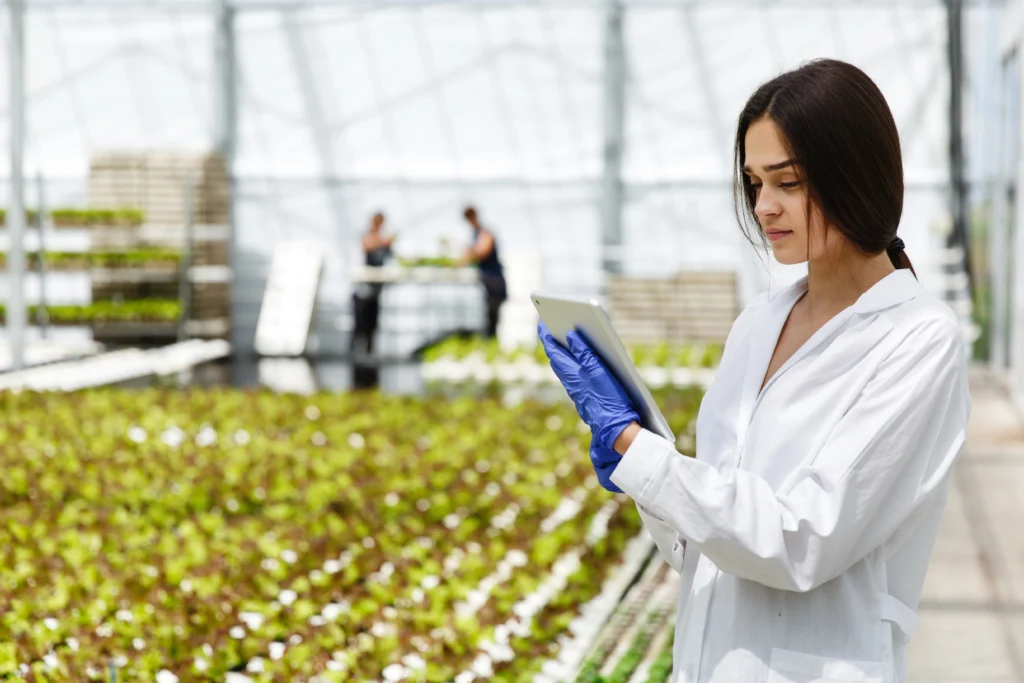 Case Study: Why are digital cold storage websites the future of agriculture?