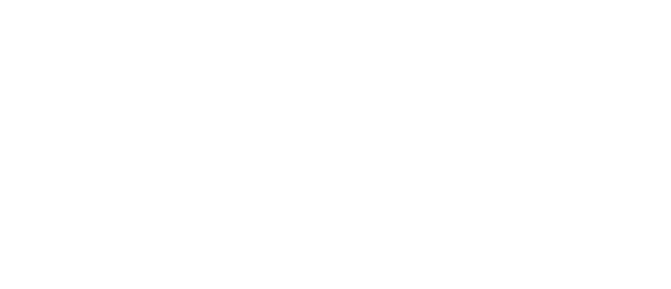roadmap